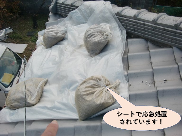 岸和田市の屋根をシートで応急処置されています