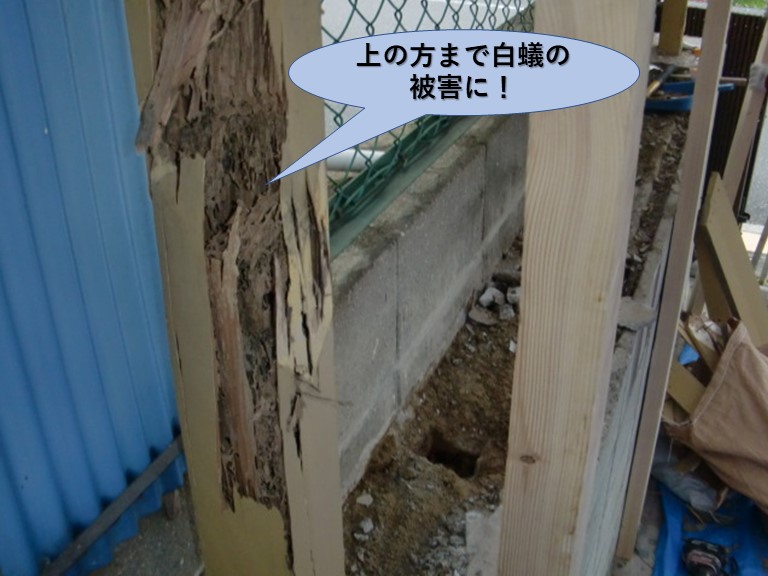 阪南市のカーポートの柱の上の方まで白蟻の被害に！