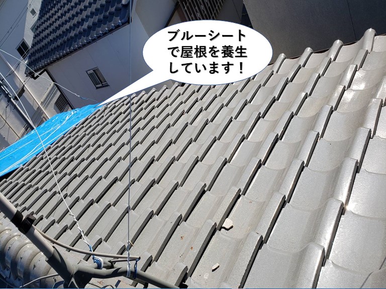 和泉市の大屋根をブルーシートで屋根を養生しています