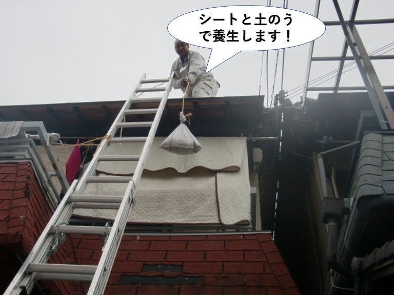 和泉市の屋根をシートと土のうで養生します