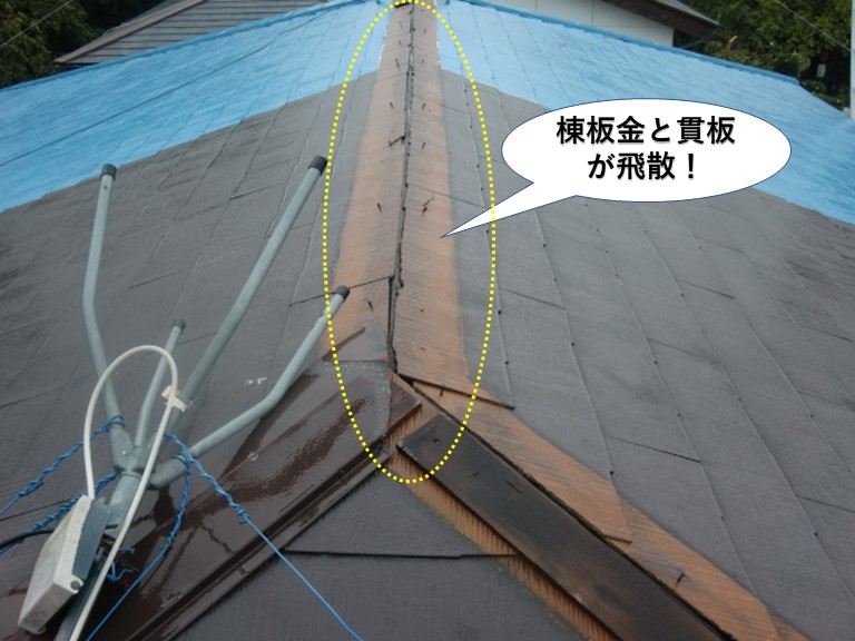 岸和田市の屋根の棟板金と貫板が飛散