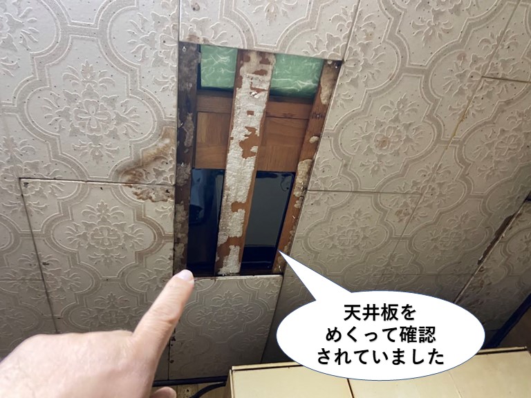 和泉市の天井板をめくって確認されていました！