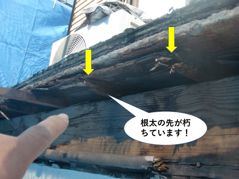 岸和田市のベランダの根太の先が朽ちています
