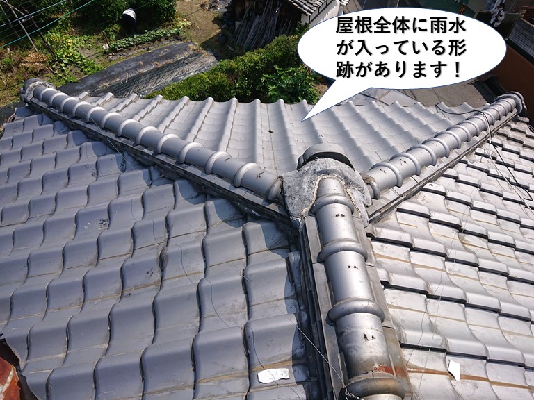 泉佐野市の屋根全体に雨水が入っている形跡があります