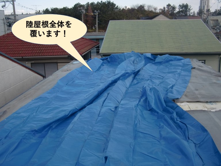 貝塚市の陸屋根全体を覆います