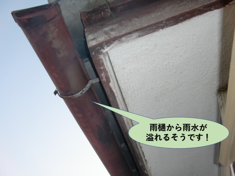 岸和田市の雨樋から雨水が溢れるそうです！