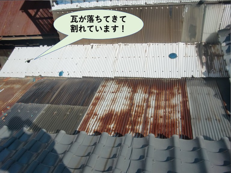 岸和田市の波板の屋根に瓦が落ちてきて割れています