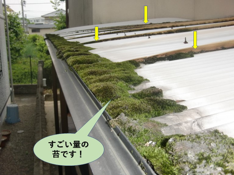 岸和田市のカーポート屋根の苔