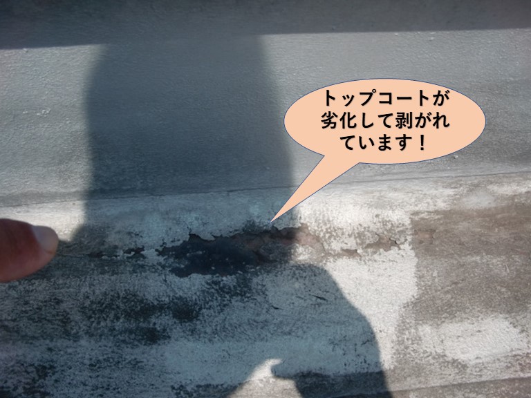 貝塚市の陸屋根のトップコートが剥がれてきています