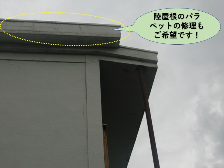 泉佐野市の陸屋根のパラペットの修理もご希望です