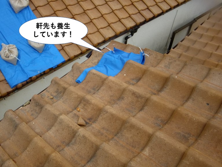 和泉市の屋根の軒先も養生しています