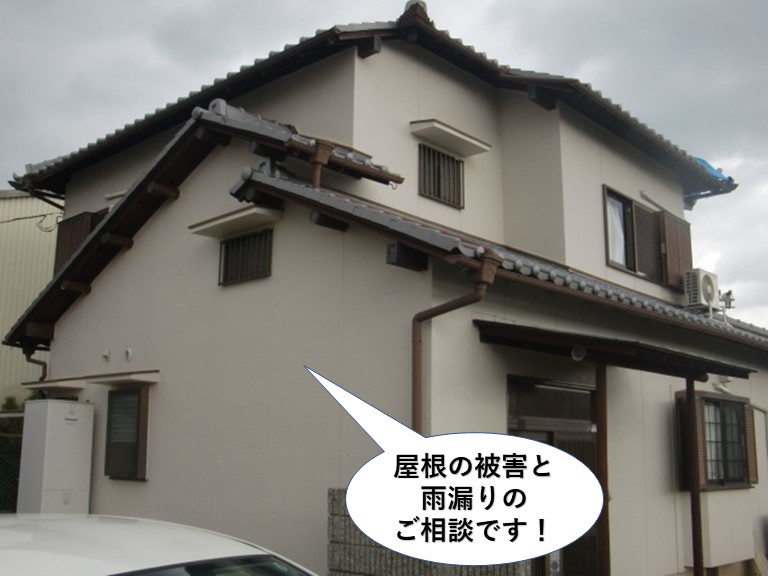 岸和田市の屋根と雨漏りのご相談です