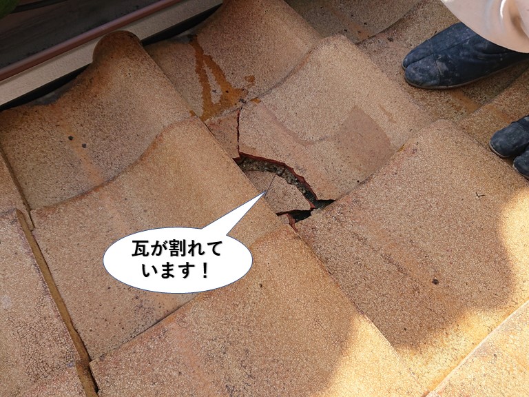 熊取町の屋根の瓦が割れています