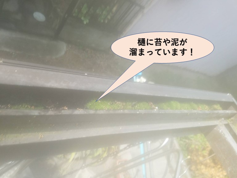 岸和田市のテラス屋根の樋に苔や泥が溜まっています