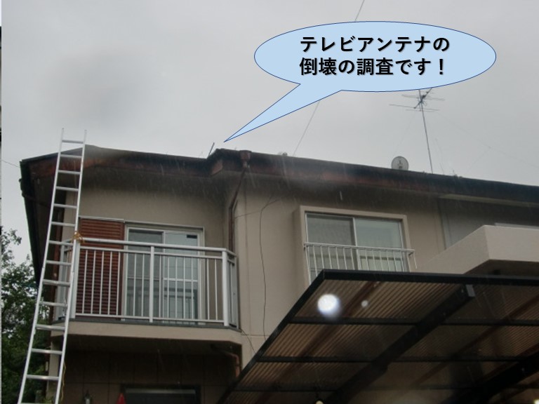 岸和田市のテレビアンテナの倒壊の調査