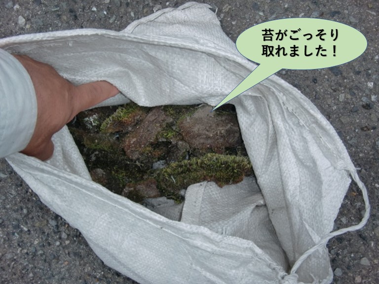 岸和田市のカーポートの苔がごっそり取れました