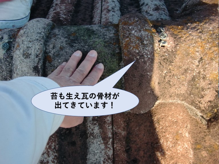 岸和田市の屋根に全体的に苔が生えています！