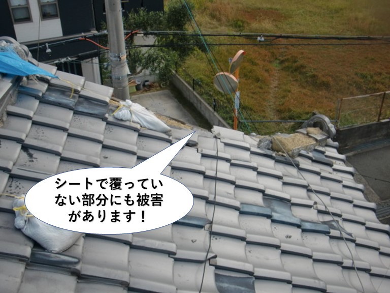 貝塚市の屋根でシートで覆っていない部分にも被害があります