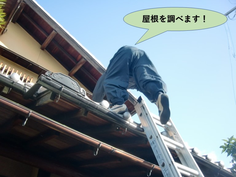 岸和田市の雨漏りで屋根を調べます