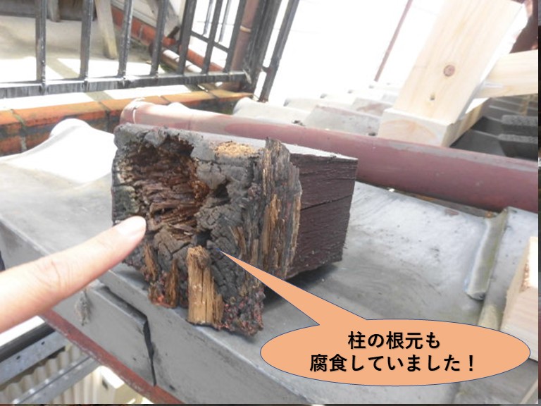岸和田市の柱の根元も腐食していました！