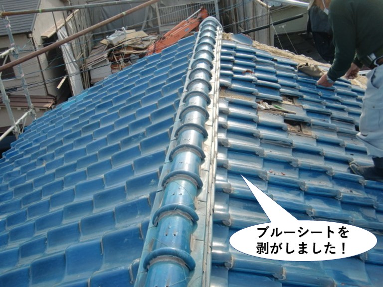 岸和田市の屋根のブルーシートを剥がしました