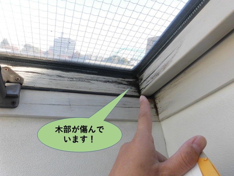 岸和田市の天窓の枠の木部が傷んでいます
