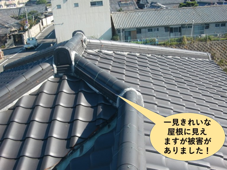 和泉市の屋根が一見きれいに見えますが被害がありました