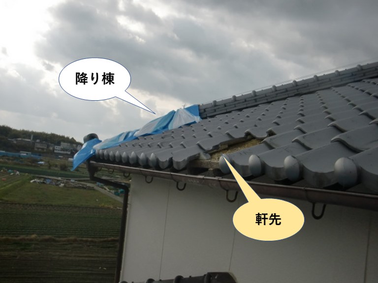 岸和田市の大屋根の被害
