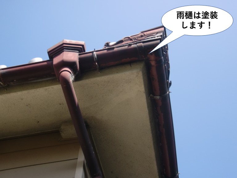 岸和田市の雨樋は塗装します