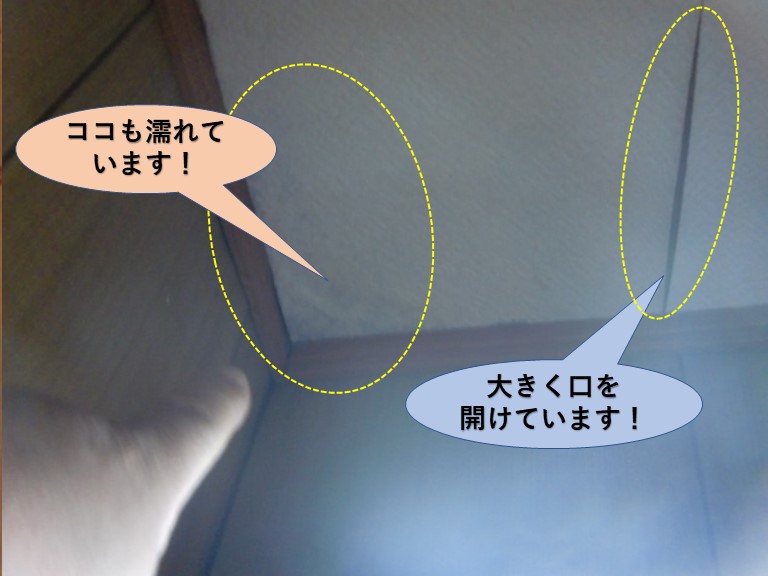 岸和田市のトイレの天井の雨漏り
