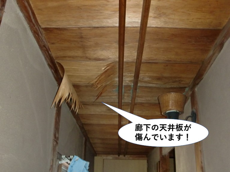 岸和田市の廊下の天井が傷んでいます