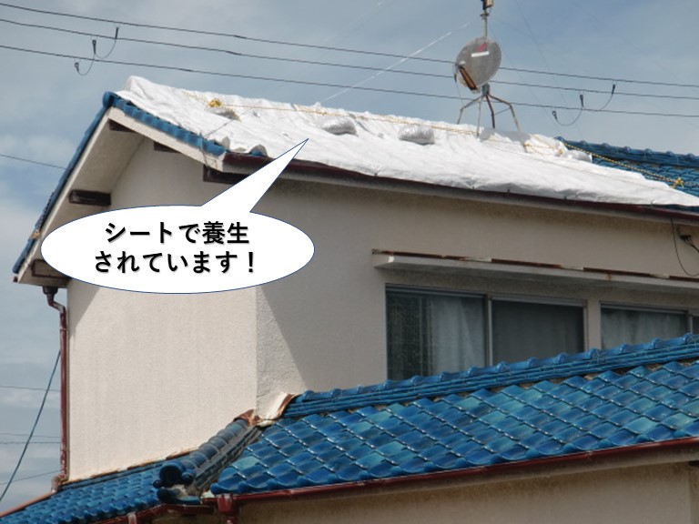 岸和田市の屋根をシートで養生されています