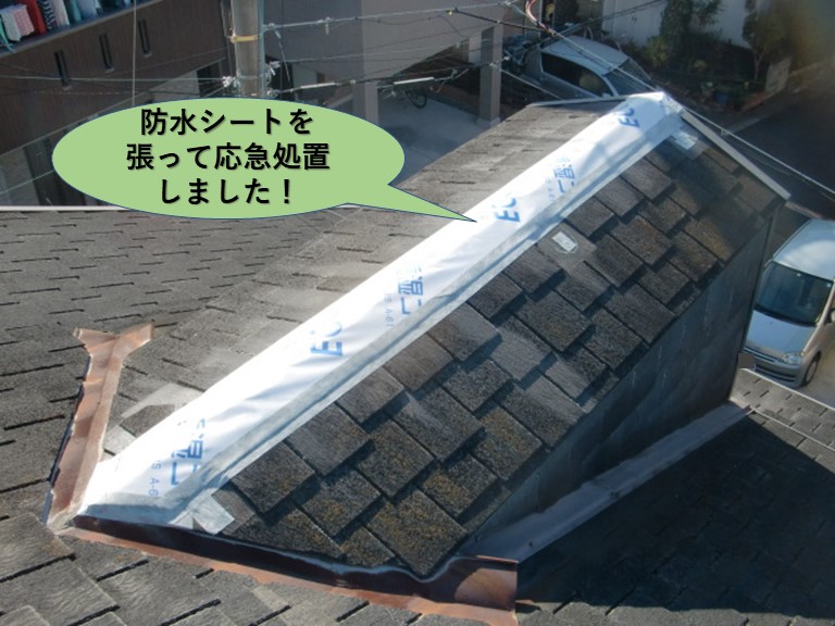 和泉市の屋根を防水シートを張って応急処置