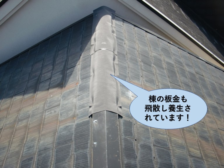 熊取町の棟の板金も飛散し養生されています