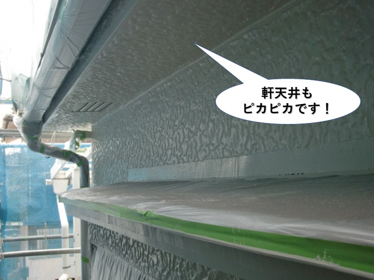 熊取町の軒天井もピカピカです