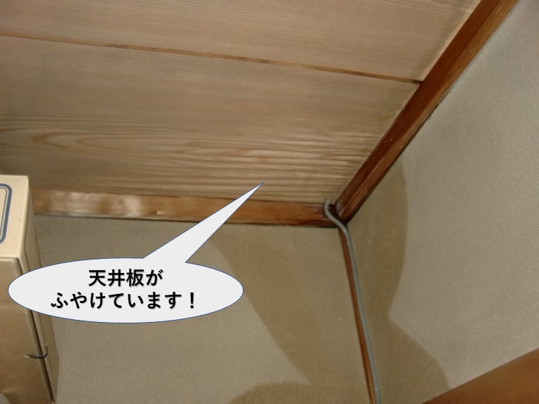 岸和田市の住宅の天井板がふやけています！