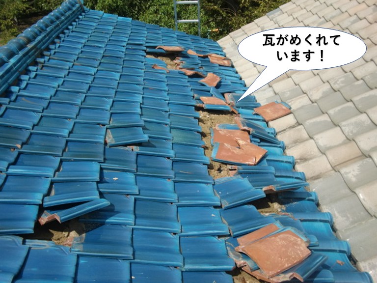岸和田市の屋根の瓦がめくれています