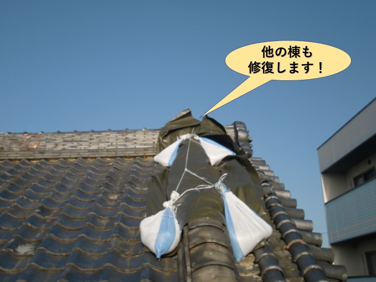 岸和田市の他の棟も修復します！