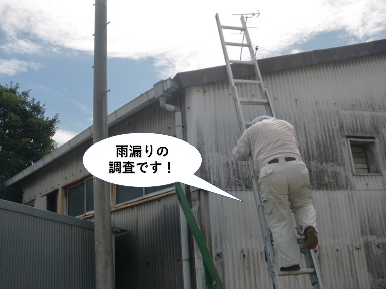 岸和田市の雨漏りの調査