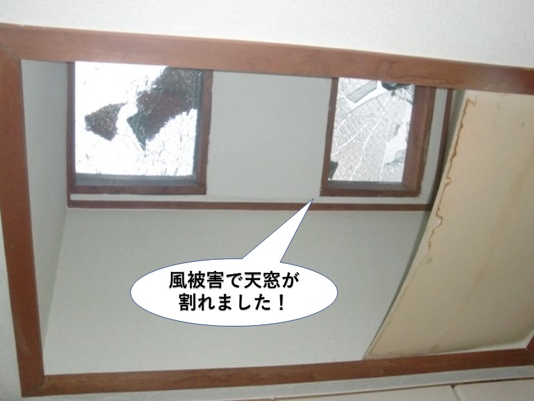 岸和田市の風被害で天窓が割れました