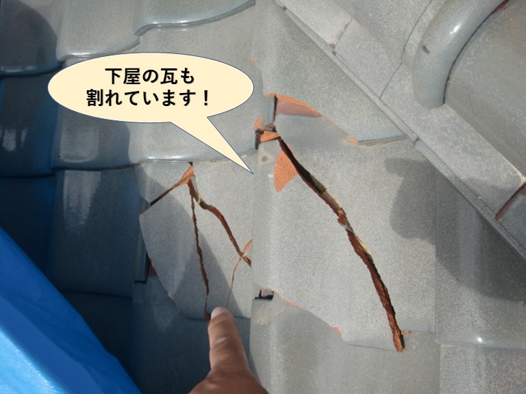 阪南市の下屋の瓦も割れています