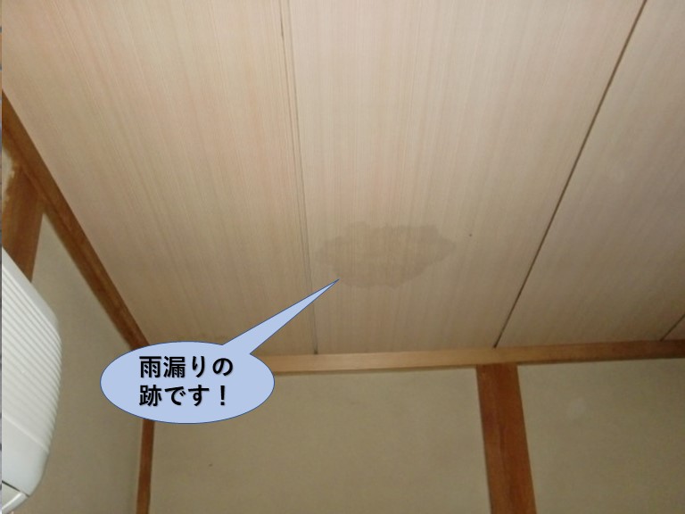 泉大津市の和室天井の雨漏りの跡です