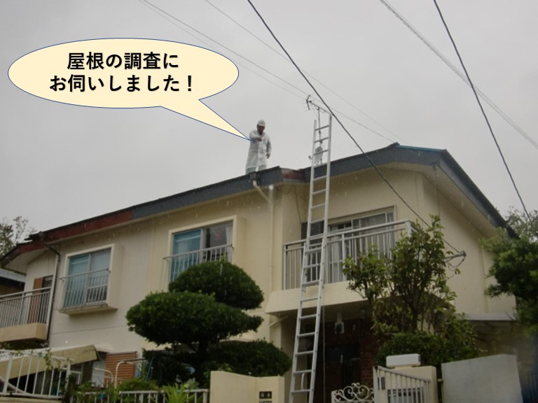 岸和田市の屋根の調査にお伺いしました！