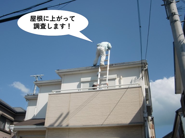 熊取町の屋根に上がって調査します