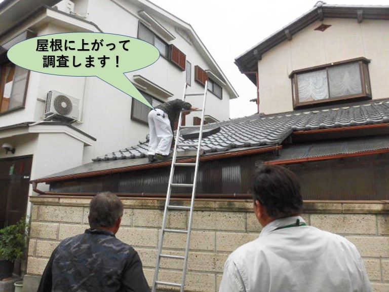 岸和田市の雨漏りで屋根に上がって調査します
