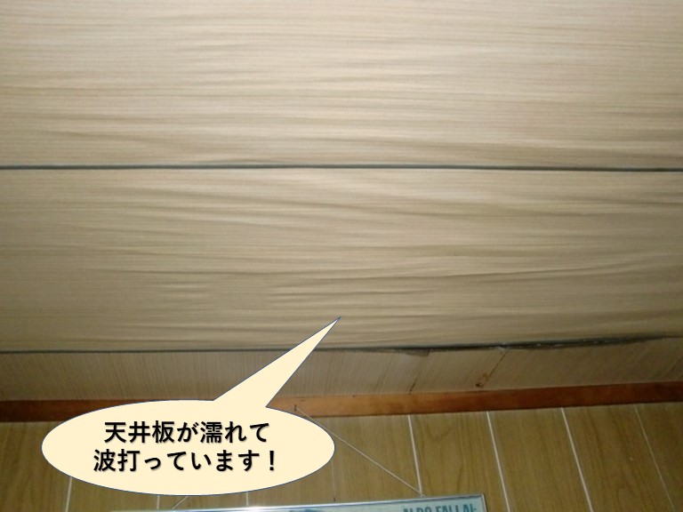 岸和田市の天井板が濡れて波打っています