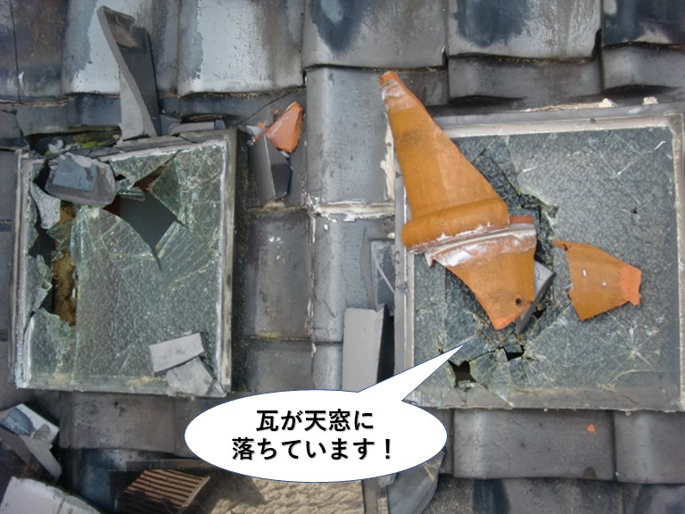 岸和田市の瓦が天窓に落ちています