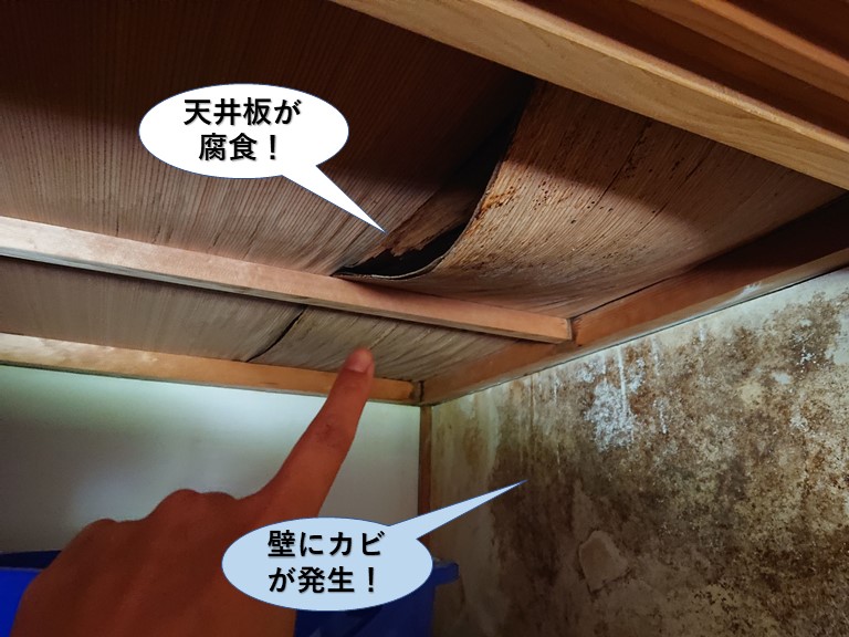 泉大津市の天井板が腐食
