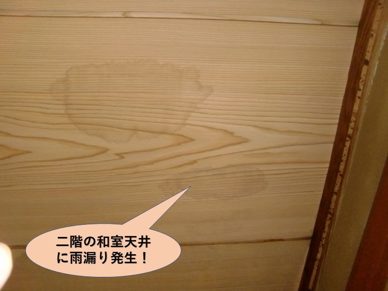 泉大津市の二階の和室天井に雨漏り発生