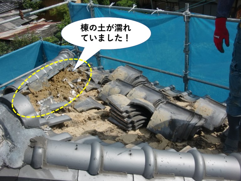 泉佐野市の瓦をめくると棟の土が濡れていました